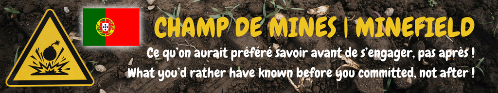 Bandeau Minefield avec drapeau PT