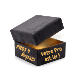 Votre Pro est dans Pros4Expats